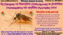 डेंगू (Dengue) एवं चिकनगुनिया (Chikungunya) का होम्योपैथिक (Homeopathic) तथा आयुर्वेदिक (Ayurvedic) इलाज